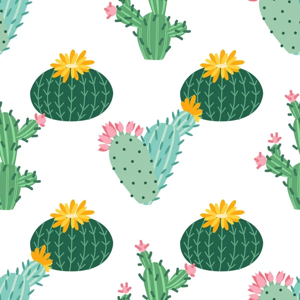 Cactus flower. Bright cacti, aloe leaves, exotic cactuses plants