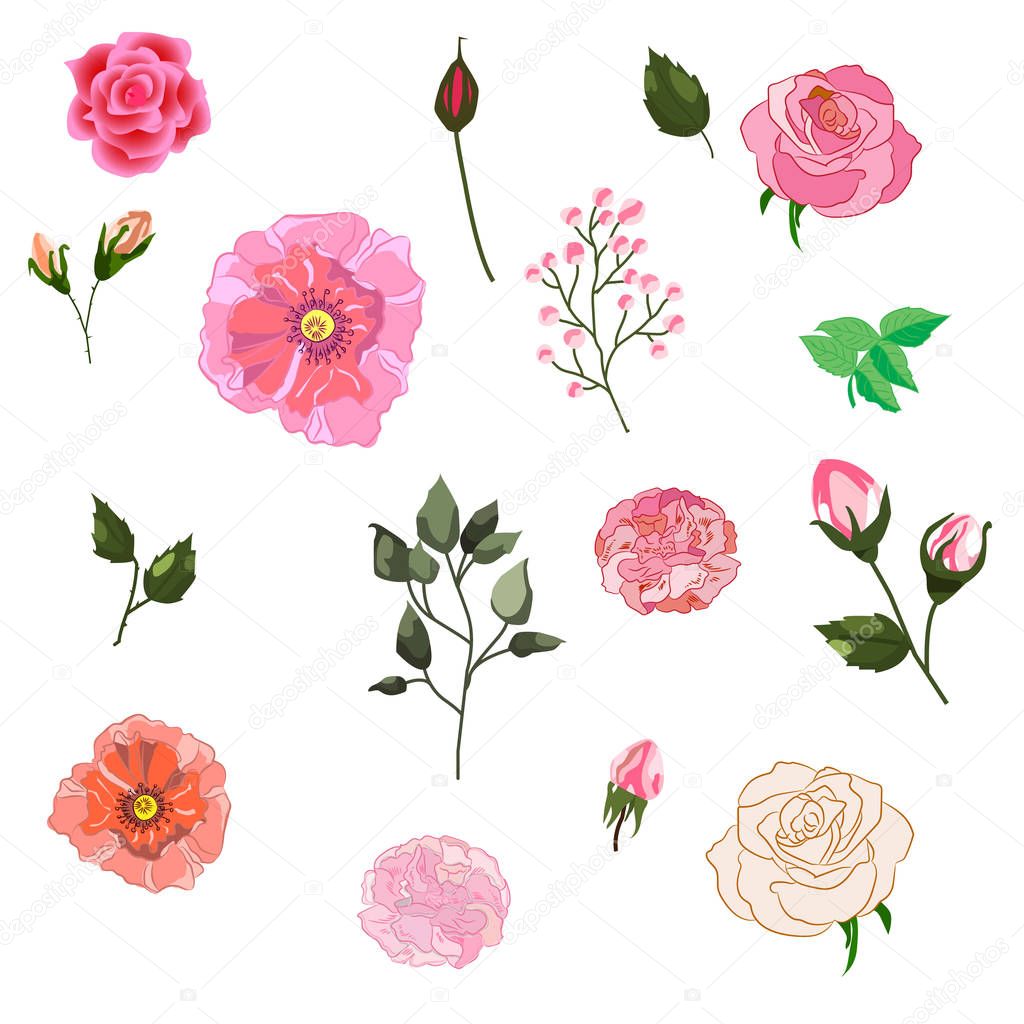 Vector set of isolated Rose buds with leaves. Handmade watercolo