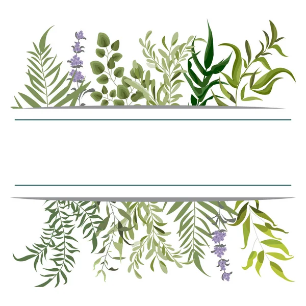 Diseño floral de tarjeta vectorial con hojas de helecho de acuarela verde trop — Vector de stock