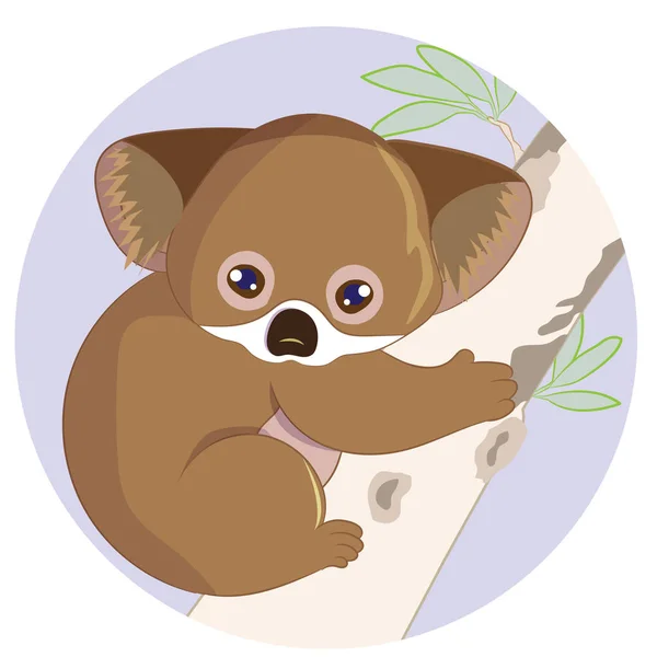 Carino bambino cartone animato Koala orso appeso sull'albero, illustratio vettore — Vettoriale Stock
