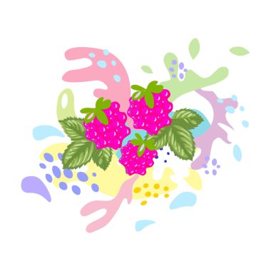 Sıçra ve düş, sıvı hareketi, meyve suyu ve yoğurttan ahududu damlaları, damlalar ve noktalar. Soyut vektör çizimleri