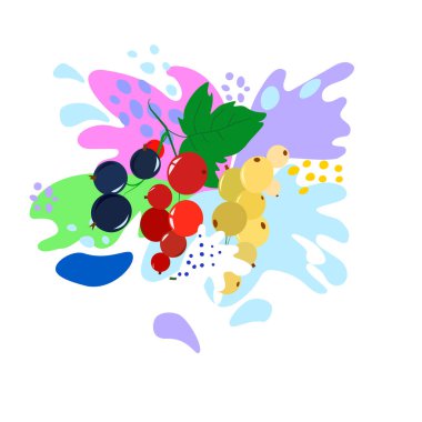 Dalgalanma ve düşüş, sıvıların hareketi, siyah frenk üzümü, kırmızı ve beyaz frenk üzümü. Meyve suyu, yoğurt, damla ve leke sıçramış. Soyut vektör çizimleri