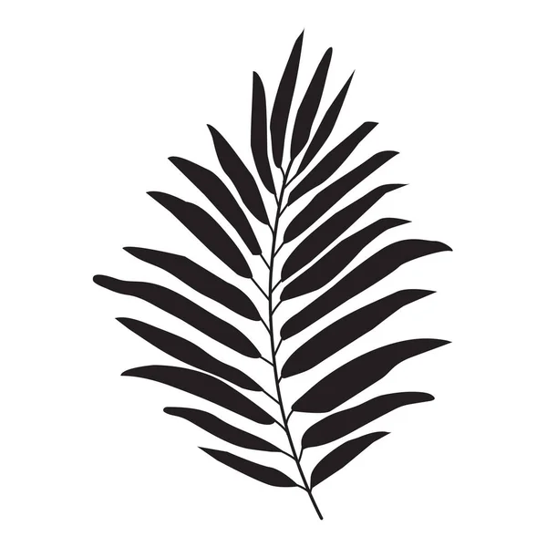 Ikona Liści Palmy Tropikalnej Ilustracja Wektora — Wektor stockowy