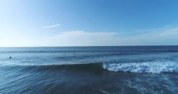 Luchtdrone schot over helder zeeblauw water. Lage houding schot over surfers vangen golven als levensstijl activiteit — Stockvideo