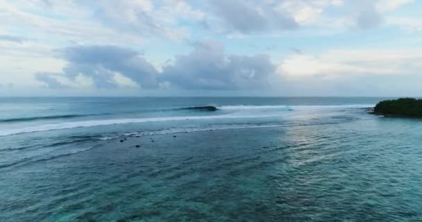 Luchtdrone schot over helder zeeblauw water. Lage houding schot over surfers vangen golven als levensstijl activiteit — Stockvideo