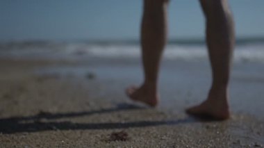 Yürüyen, yürüyen ve deniz sahilindeki altın kumda duran bir adam. Süper yavaş çekim. Okyanus kıyısında yürürken erkek bacakları alçak açıyla çekiliyor. Yalınayak dalgalarla kumlu sahilde. Yaz kıyı şeridi.