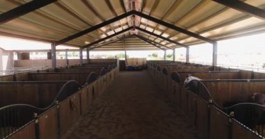 İçeriden ya da at çiftliğinden. Kırsal kesimdeki at çiftliğinde gündüz vakti çekilen hava kulesi. Eğitimli binicilik tezgahı çatı katında bekliyor.