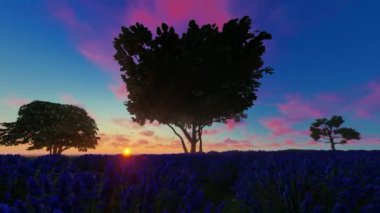 Lavantalı harika bir sabah manzarası. Sabit kamera görüntüsü ve gerçekçi bir atmosferi olan 3 boyutlu bir animasyon. Duygusal ve sıcak bir atmosfere sığar..