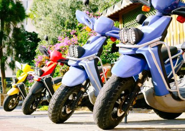 Sokakta yeşil ağaçlarla çevrili çok renkli motosikletler var..