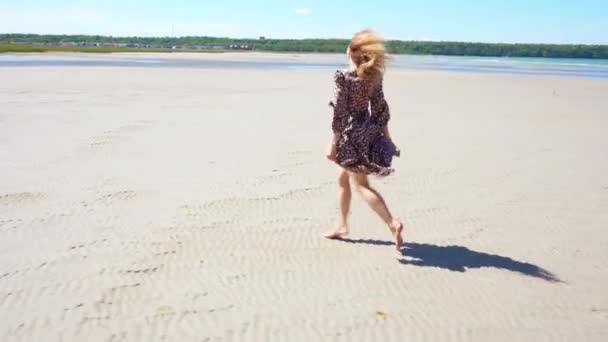 아름다운 해변에서 웃으며 장난기있게 있습니다 해뜨기 날에는 해변에 자유의 — 비디오
