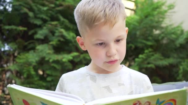 公園で屋外を読むことを学ぶハンサムな子供の男の子 晴れた日に子供の文学を読む美しい焦点を当てた子供 家庭教育の考え方 — ストック動画