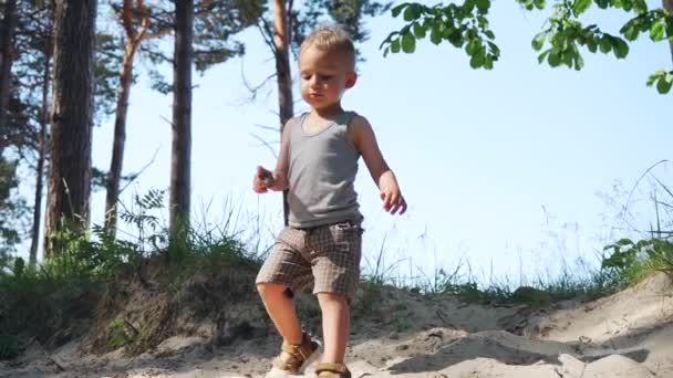 Fokuserade Smart Toddler Boy Walking Beach Forrest Slow Motion Solig — Stockvideo