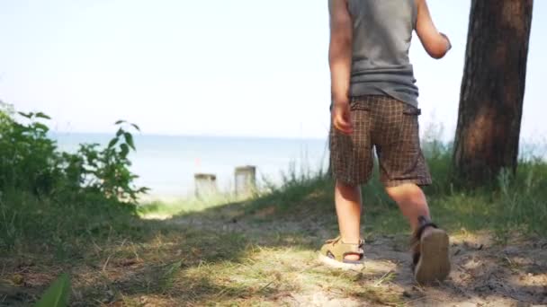 Niño Inteligente Enfocado Caminando Playa Forrest Slow Motion Día Soleado — Vídeos de Stock