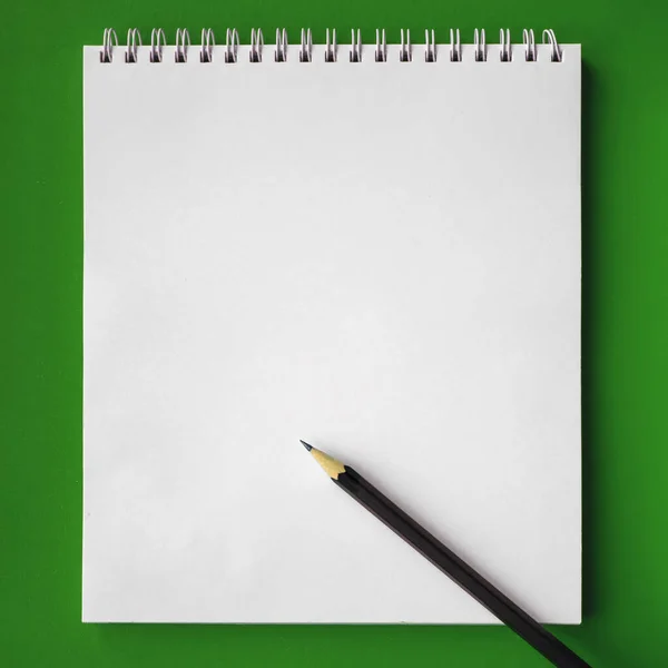 School notebook and pencil on green background, back to school concept, modern elementary education. flat lay
