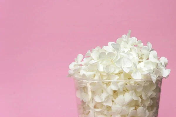 Pétales Fleurs Dans Verre Transparent Sur Fond Rose Avec Lumière — Photo