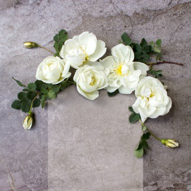 Gül çiçekleri ve okaliptüs dallarından oluşan çiçekler. Çiçeklerle poz ver. Düz yatış, üst görünüm