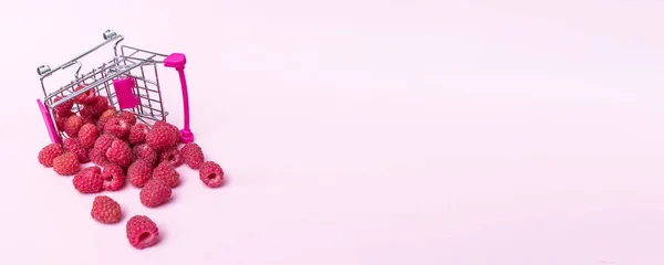 Kovový Malý Nákupní Košík Malinami Uvnitř Růžovém Pozadí — Stock fotografie