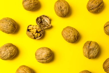 Sıradan fındıklar arasında soyulmuş bir ceviz. Lider, bireysellik, en iyi çalışan, en iyi çalışan, takım. Ticari kavramsal imaj