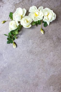 Çerçevesi çiçeklerden yapılmış boş kağıt maketi. Gri pastel arka planda fotokopi alanı olan çiçek bileşimi