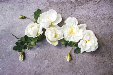 Gri arka planda çiçek kompozisyonu. Düz yatış, üst görünüm
