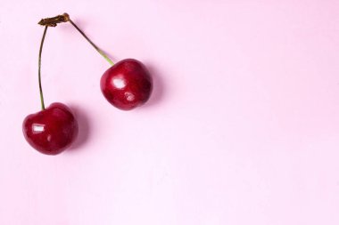 Lezzetli kirazlı kırmızı böğürtlenler sol üst köşede pembe üzerine uzanıyorlar. Fotoğraf düz pembe zemin üzerinde boş alan ile yatıyordu