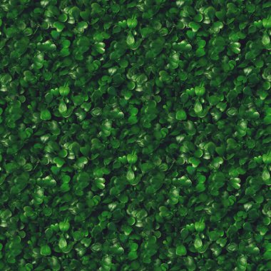 Kusursuz desenli yeşil çimen dokusu. Yıldız yosunu, yaban otları, civciv, saten çiçeği, Stellaria Medya bitkileri. Güzel yeşil yapraklar. Yeşil arka plan. Doku. Çimen