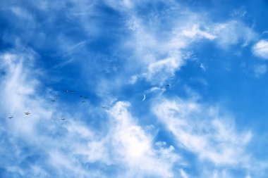 Kuşlar ve akşam gökyüzünde genç bir ay beyaz bulutlarla