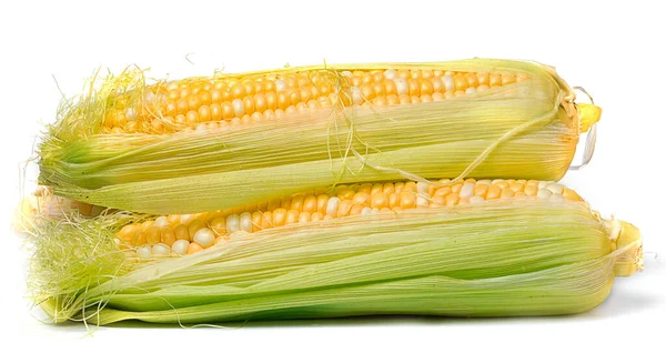 Sweet Juicy Corn Cob White Background — Stock Photo, Image