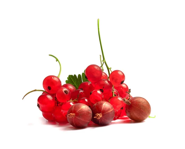 Mogna Och Saftiga Röda Vinbär Med Grön Broschyr Vit Bakgrund — Stockfoto
