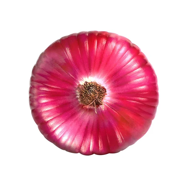 Dulce Cabeza Cebolla Roja Sobre Fondo Blanco — Foto de Stock