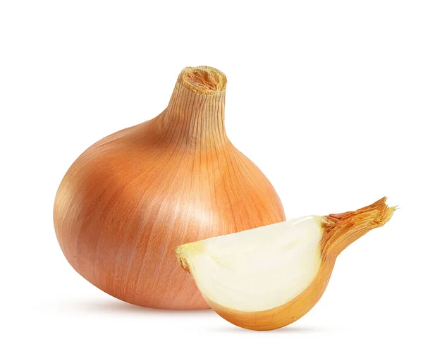 Large Bulb Onion White Background — Stock Photo, Image