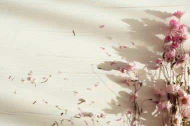 Flores rosas sobre un fondo blanco. Luz y sombras suaves de la maana. Espacio en blanco para poner texto, logotipo o frase.