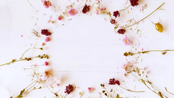 Gyönyörű Boho Stílus Szárított Virágok Helyet Hogy Tegye Üzenetet Tökéletes Jogdíjmentes Stock Képek