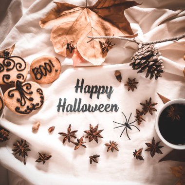 Beyaz arka planda Cadılar Bayramı 'nız kutlu olsun diyen bir resim. Kurabiyeler, örümcekler, balkabağı, anason ve düşen yapraklar. Cadılar Bayramına hazırım. İnternette ya da sosyal medyada kullanabilirsiniz..