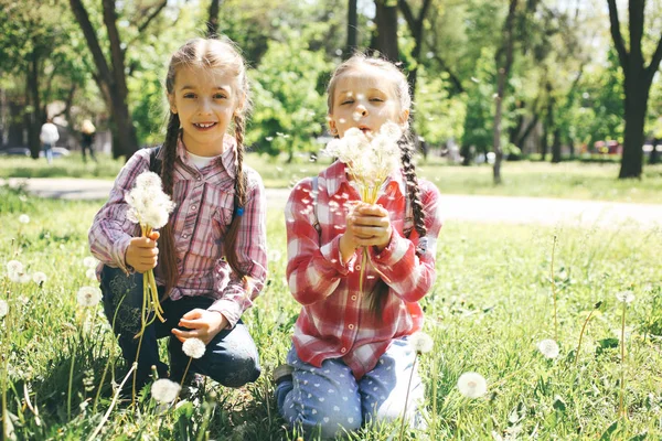 Two little girlfriends are sitting on the grass with dandelions against the background of nature.