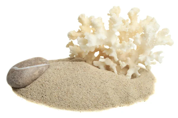 Koraal Zand Stenen Geïsoleerd Witte Achtergrond — Stockfoto