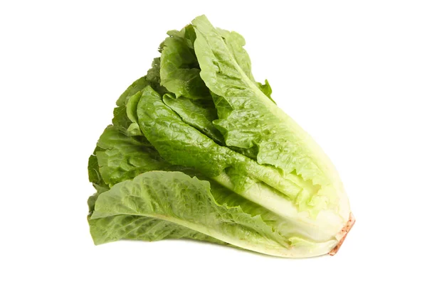 在白色背景下分离的新鲜绿色生菜莴苣 — 图库照片