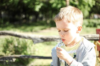 Küçük bir çocuk bir karahindiba parkta çerçevede esiyor.