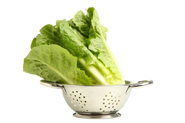在白色背景下漏勺的绿色生菜莴苣 — 图库照片
