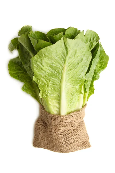 绿色生菜生菜在白色背景下的小袋中分离 — 图库照片