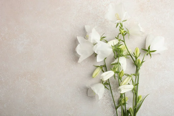 Gyönyörű Csokor Virág Harangok Fekvő Semleges Háttéren Felülnézet Másol Hely — Stock Fotó