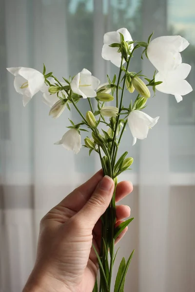 A beautiful bouquet of white bells in hand in the background of a window.