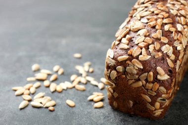 Siyah ekmek ile Ayçiçeği tohumları üzerinde siyah bir arka plan olduğunu. Kopya alanı