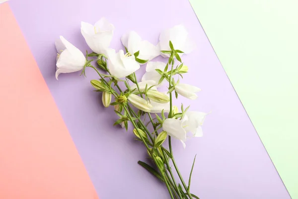 Pastel Bir Arka Plan Üzerinde Beyaz Çiçekler Çanları Güzel Buket — Stok fotoğraf