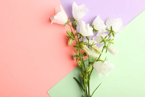 Pastel Bir Arka Plan Üzerinde Beyaz Çiçekler Çanları Güzel Buket — Stok fotoğraf