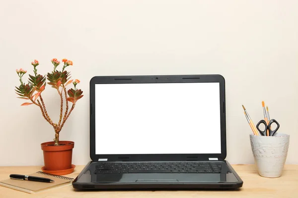 Ноутбук Ноутбук Цветок Столе Нейтральном Фоне Концепция Рабочего Места — стоковое фото