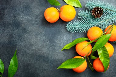 Mandalina ve dal Noel ağacı mavi zemin üzerine. Kavram Noel. Üstten görünüm.