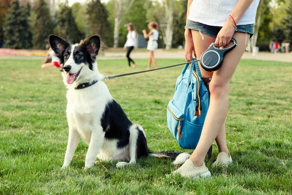 Menina Andando Com Cão Parque — Fotografia de Stock