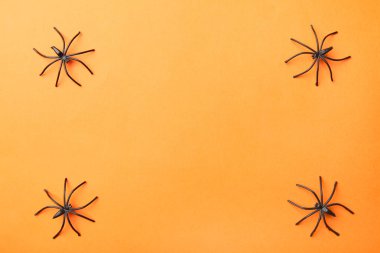 Turuncu zemin üzerine siyah örümcekler çerçevesinde. Kavram Cadılar Bayramı.