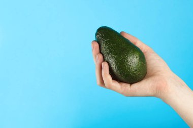 Olgun avokado mavi arka plan üzerinde elinde. Kopya alanı.